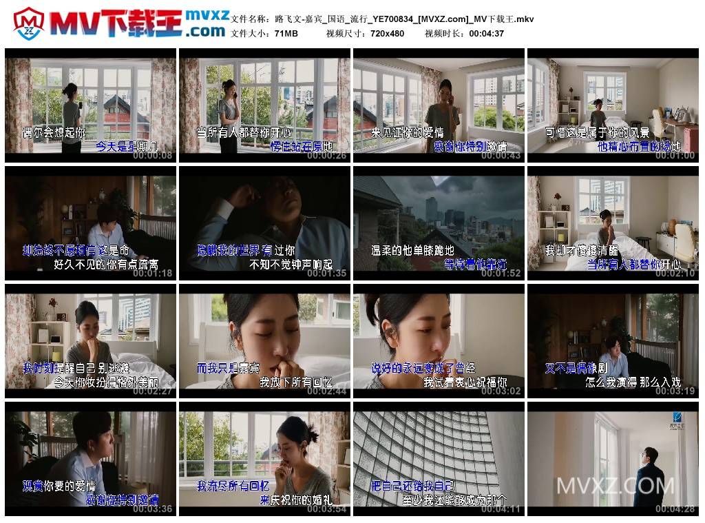 路飞文-嘉宾_国语_流行_YE700834